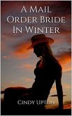 A Mail Order Bride In Winter (eBook, ePUB)