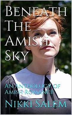 Beneath the Amish Sky (eBook, ePUB) - Salem, Nikki