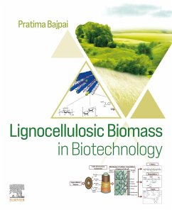 Lignocellulosic Biomass in Biotechnology (eBook, ePUB) - Bajpai, Pratima