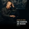Songs Of Hope: The Essential Joe... - Bild 1