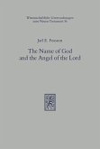 The Name of God and the Angel of the Lord (eBook, PDF)