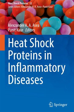 Heat Shock Proteins in Inflammatory Diseases