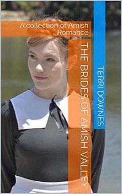 Cover The Brides of Amish Valley (eBook, ePUB)