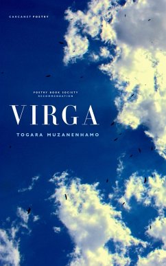Virga (eBook, ePUB) - Muzanenhamo, Togara