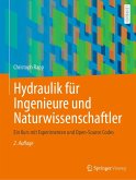 Hydraulik für Ingenieure und Naturwissenschaftler (eBook, PDF)