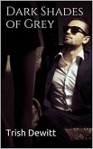Dark Shades of Grey (eBook, ePUB)