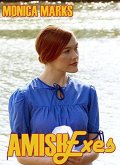 Amish Exes (eBook, ePUB)