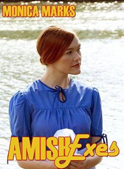 Cover Amish Exes (eBook, ePUB)