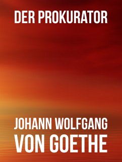 Der Prokurator (eBook, ePUB)