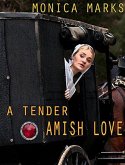 A Tender Amish Love (eBook, ePUB)