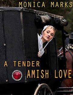 A Tender Amish Love (eBook, ePUB) - Marks, Monica