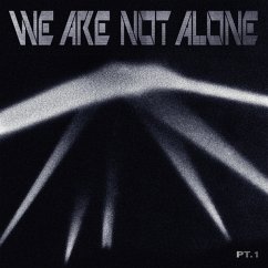 We Are Not Alone-Part 1 (2lp) - Diverse