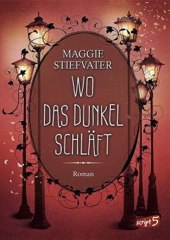 Wo das Dunkel schläft / Raven Cycle Bd.4 - Stiefvater, Maggie