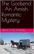 The Godsend : An Amish Romantic Mystery... - Bild 1
