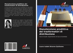 Manutenzione predittiva dei trasformatori di distribuzione - Alvarez Quiñones, Laura Isabel