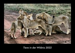 Tiere in der Wildnis 2022 Fotokalender DIN A3 - Tobias Becker