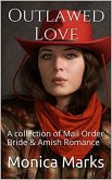 Outlawed Love (eBook, ePUB)
