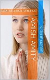 Amish Amity (eBook, ePUB)