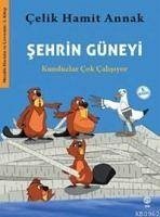 Sehrin Güneyi - Hamit Annak, Celik