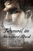 Turmoil in Sherwood Forest (eBook, ePUB)