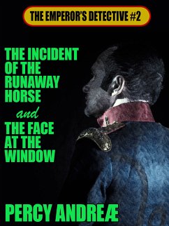 The Incident of the Runaway Horse and the Face at the Window (eBook, ePUB) - Andreæ, Percy