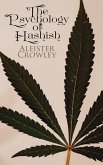 The Psychology of Hashish (eBook, ePUB)