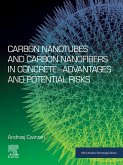 Carbon Nanotubes and Carbon Nanofibers in Concrete-Advantages and Potential Risks (eBook, ePUB)