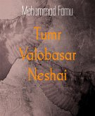Tumr Valobasar Neshai (eBook, ePUB)