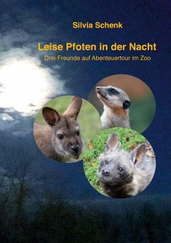 Leise Pfoten in der Nacht (eBook, ePUB) - Schenk, Silvia