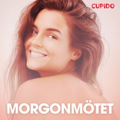 Morgonmötet - erotiska noveller (MP3-Download) - Cupido