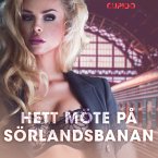 Hett möte på Sörlandsbanan - erotiska noveller (MP3-Download)