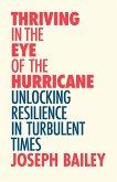 Thriving in the Eye of the Hurricane (eBook, ePUB)