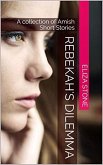 Rebekah's Dilemma (eBook, ePUB)