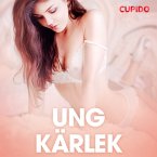 Ung kärlek - erotiska noveller (MP3-Download)