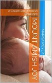 Mount Amish Joy (eBook, ePUB)