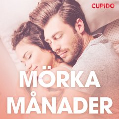 Cover Mörka månader - erotiska noveller (MP3-Download)