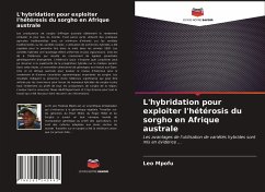 L'hybridation pour exploiter l'hétérosis du sorgho en Afrique australe - Mpofu, Leo