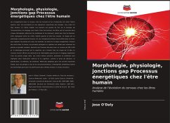 Morphologie, physiologie, jonctions gap Processus énergétiques chez l'être humain - O'Daly, Jose