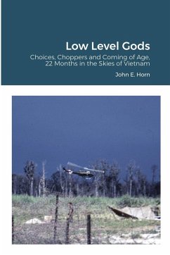 Low Level Gods - Horn, John E.