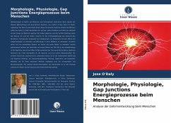 Morphologie, Physiologie, Gap Junctions Energieprozesse beim Menschen - O'Daly, Jose