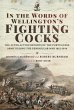 In the Words of Wellington's Fighting... - Bild 1