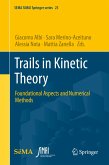 Trails in Kinetic Theory (eBook, PDF)