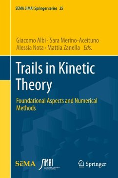 Cover Trails in Kinetic Theory (eBook, PDF)