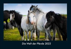 Die Welt der Pferde 2022 Fotokalender DIN A4 - Tobias Becker