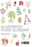 Illustrated Plant Glossary