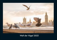 Welt der Vögel 2022 Fotokalender DIN A4 - Tobias Becker
