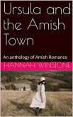 Ursula and the Amish Town (eBook, ePUB)