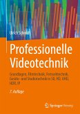 Professionelle Videotechnik (eBook, PDF)