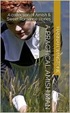 A Practical Amish Man (eBook, ePUB)