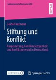 Stiftung und Konflikt (eBook, PDF)